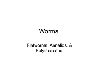 Worms  Flatworms, Annelids, & Polychaeates  