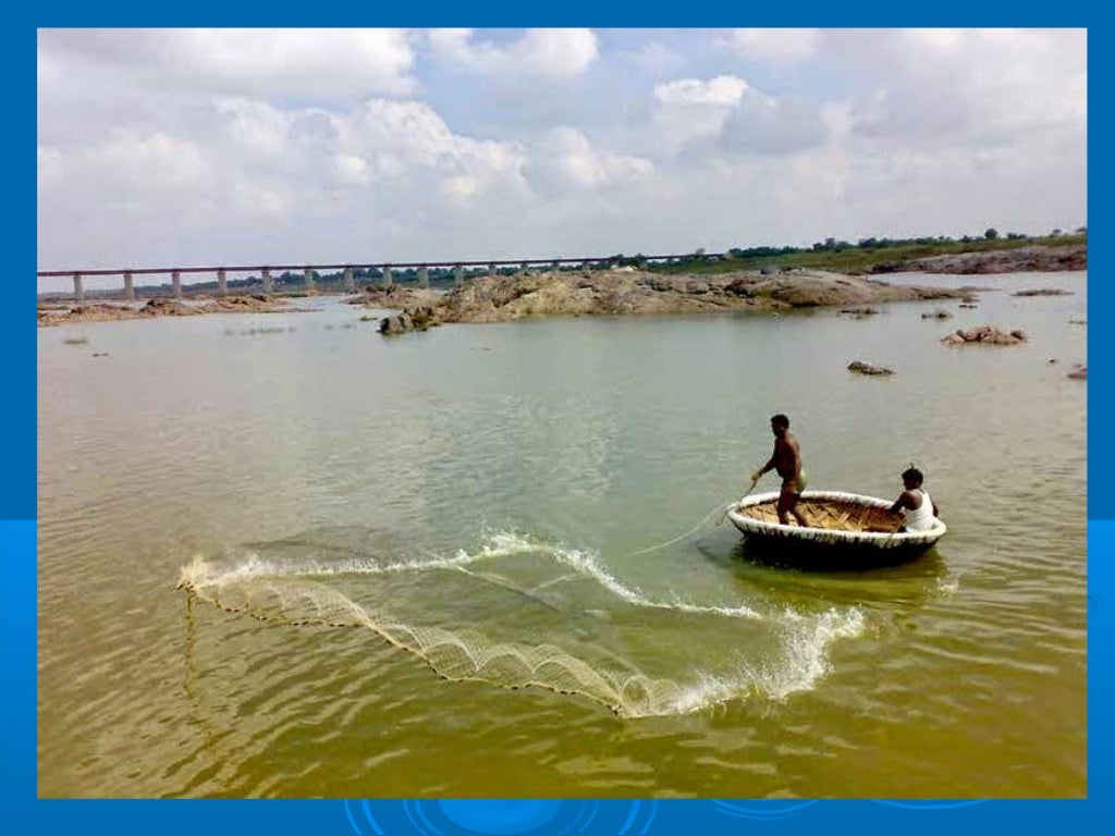 Freshwater Brackish Water And Marine Fish Culture Of India By Dr S 