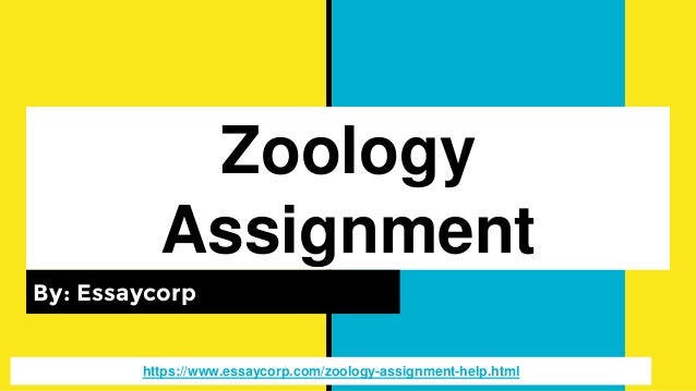 front page for zoology assignment