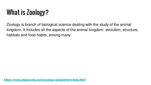 Zoology homework help Zoology homework help