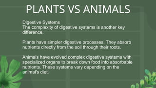 PLANTS VS ANIMALS
Digestive Systems
The complexity of digestive systems is another key
difference.
Plants have simpler digestive processes. They absorb
nutrients directly from the soil through their roots.
Animals have evolved complex digestive systems with
specialized organs to break down food into absorbable
nutrients. These systems vary depending on the
animal's diet.
 