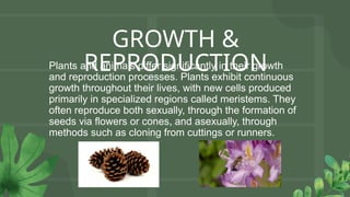 Plants and animals differ significantly in their growth
and reproduction processes. Plants exhibit continuous
growth throughout their lives, with new cells produced
primarily in specialized regions called meristems. They
often reproduce both sexually, through the formation of
seeds via flowers or cones, and asexually, through
methods such as cloning from cuttings or runners.
GROWTH &
REPRODUCTION
 