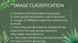 IMAGE CLASSIFICATION
a.) Students will be divided into groups.
b.) Each group will receive a set of pictures
or images of different organisms (plants and
animals).
c.) Then they will be asked to categorize the
organisms into two groups based on
observable characteristics.
d.) Then they will discuss among themselves
the basis of their groupings.
 