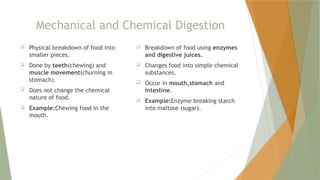 Comprehensive Overview of Enzymes and Hormones in Human Digestion ...