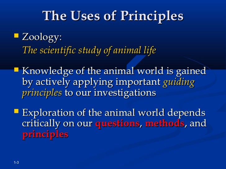 Zoology introduction