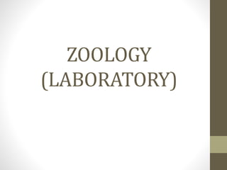 ZOOLOGY
(LABORATORY)
 