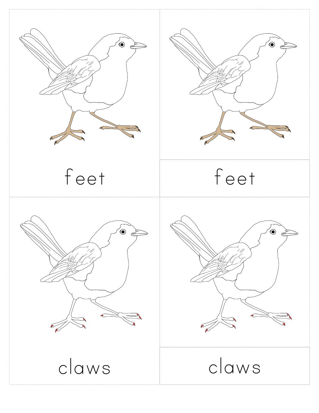 3 part cards "body parts of animals"