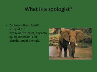 What is a zoologist?Zoology is the scientific study of the behavior, structure, physiology, classification, and distribution of animals.