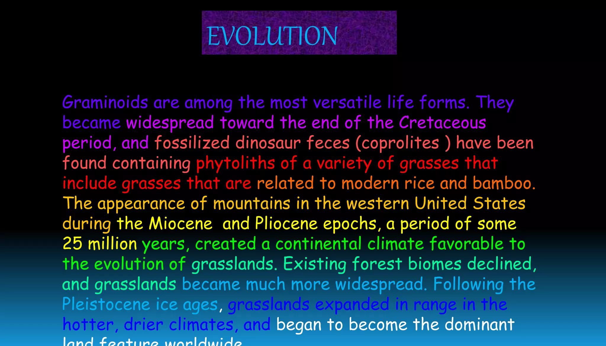 Graminoids are among the most versatile life forms. They
became widespread toward the end of the Cretaceous
period, and fossilized dinosaur feces (coprolites ) have been
found containing phytoliths of a variety of grasses that
include grasses that are related to modern rice and bamboo.
The appearance of mountains in the western United States
during the Miocene and Pliocene epochs, a period of some
25 million years, created a continental climate favorable to
the evolution of grasslands. Existing forest biomes declined,
and grasslands became much more widespread. Following the
Pleistocene ice ages, grasslands expanded in range in the
hotter, drier climates, and began to become the dominant
EVOLUTION
 