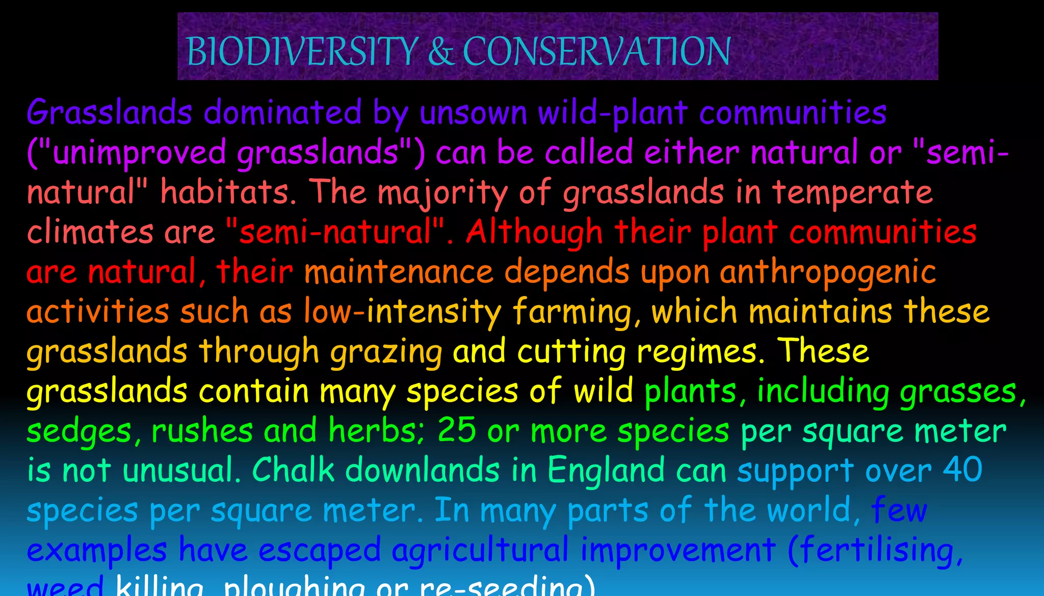 Grasslands dominated by unsown wild-plant communities
("unimproved grasslands") can be called either natural or "semi-
natural" habitats. The majority of grasslands in temperate
climates are "semi-natural". Although their plant communities
are natural, their maintenance depends upon anthropogenic
activities such as low-intensity farming, which maintains these
grasslands through grazing and cutting regimes. These
grasslands contain many species of wild plants, including grasses,
sedges, rushes and herbs; 25 or more species per square meter
is not unusual. Chalk downlands in England can support over 40
species per square meter. In many parts of the world, few
examples have escaped agricultural improvement (fertilising,
BIODIVERSITY & CONSERVATION
 