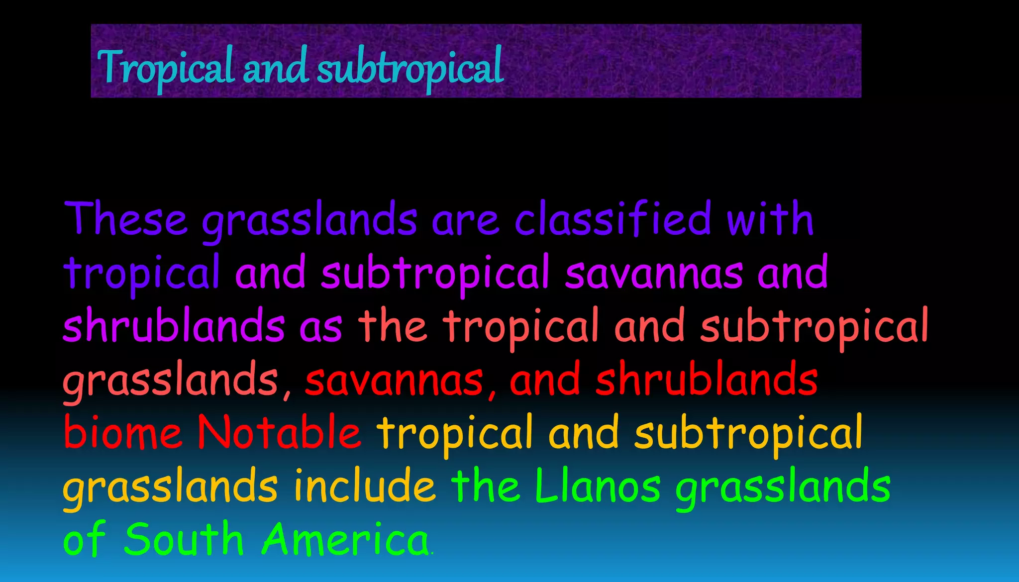 These grasslands are classified with
tropical and subtropical savannas and
shrublands as the tropical and subtropical
grasslands, savannas, and shrublands
biome Notable tropical and subtropical
grasslands include the Llanos grasslands
of South America.
Tropical and subtropical
 