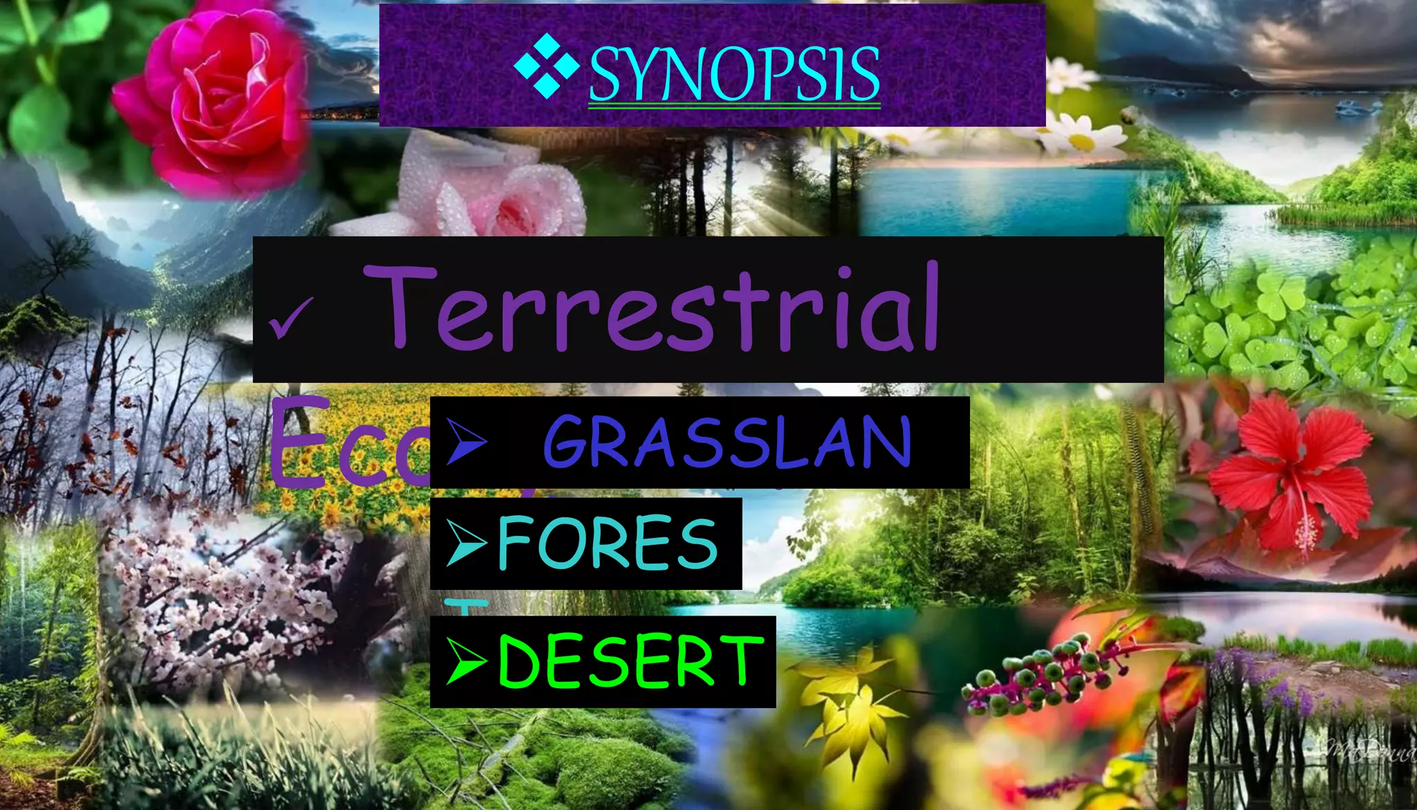 SYNOPSIS
 Terrestrial
Ecosystem :- GRASSLAN
DFORES
T
DESERT
 