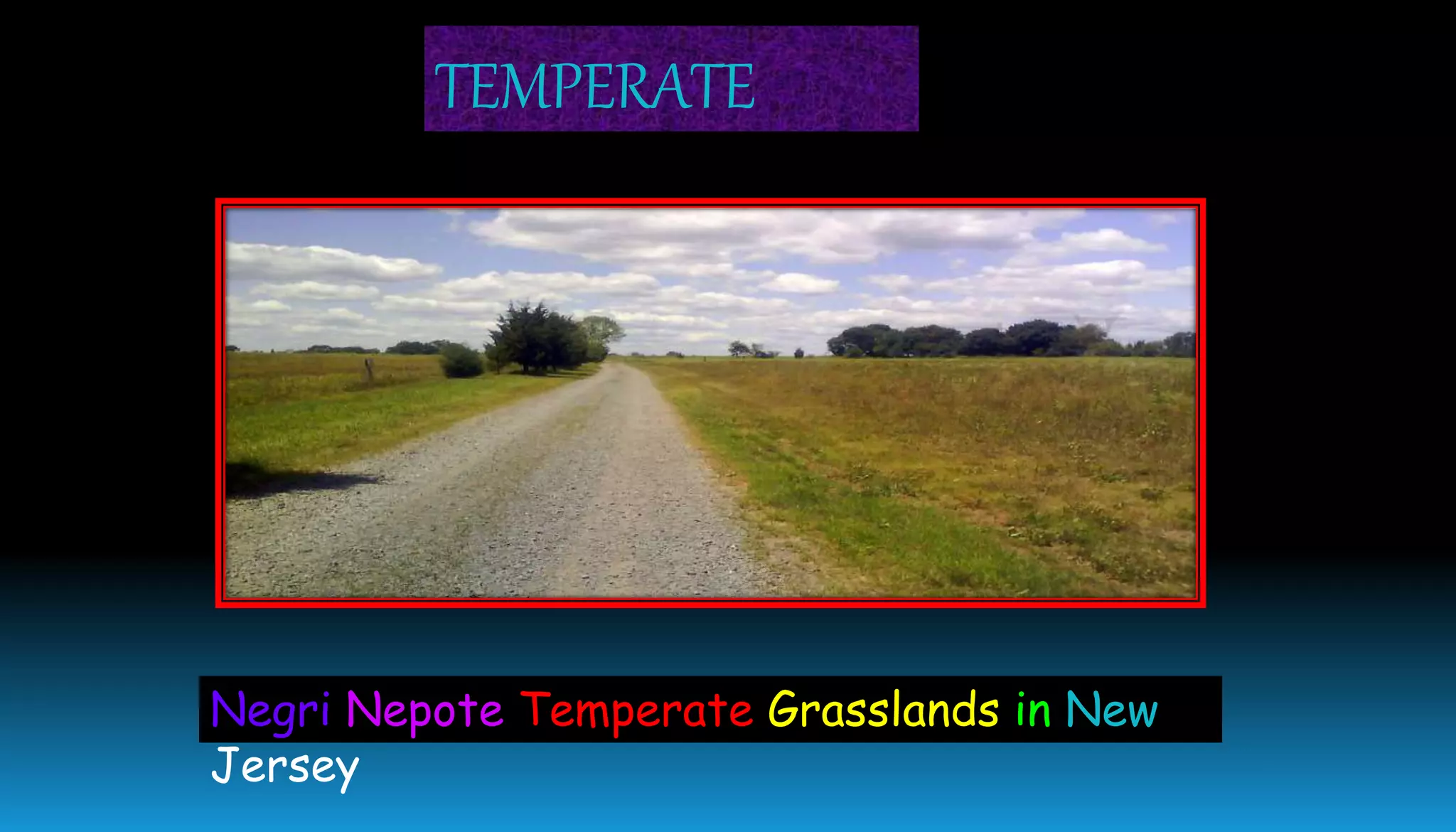 TEMPERATE
Negri Nepote Temperate Grasslands in New
Jersey
 