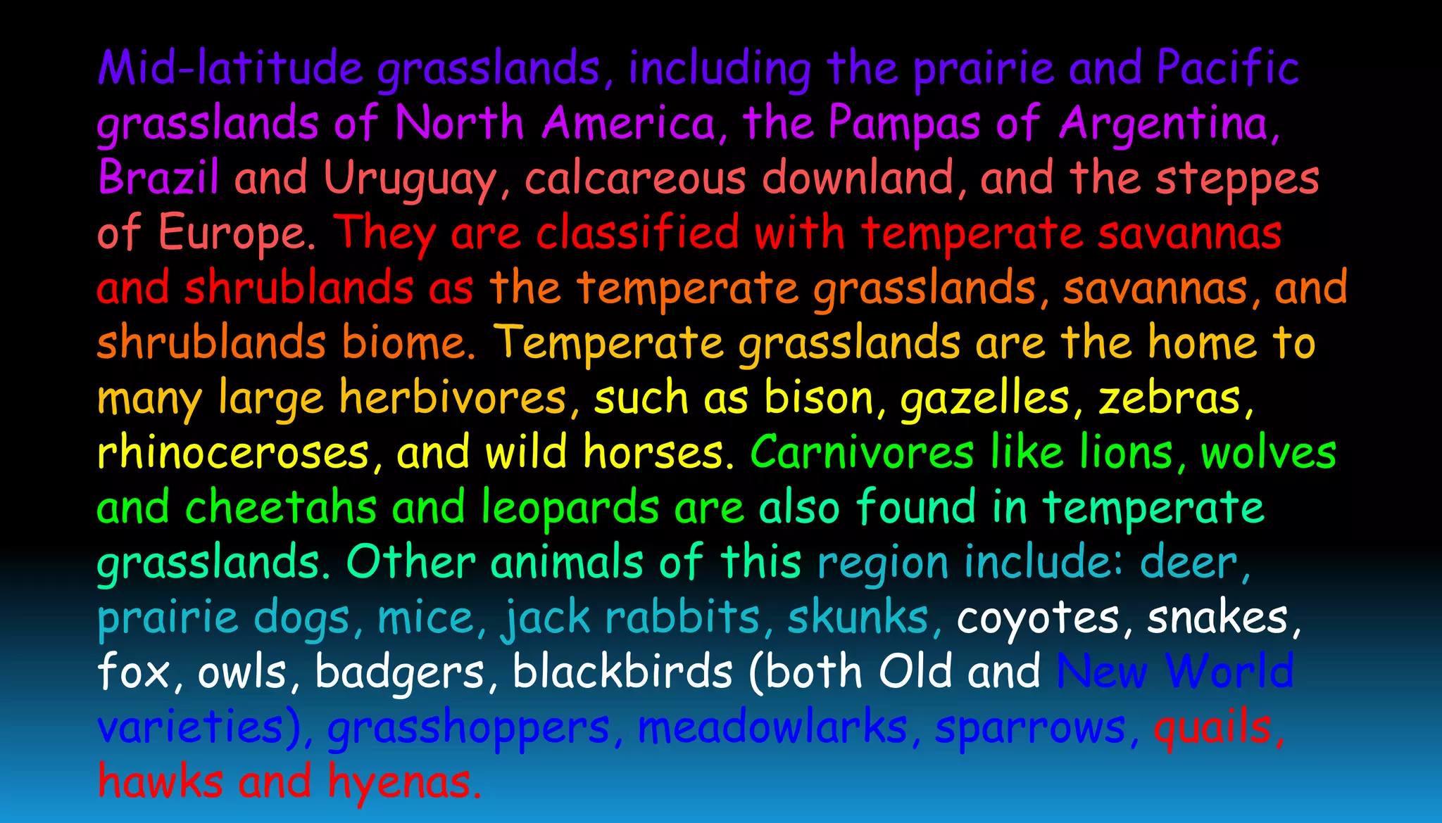 Mid-latitude grasslands, including the prairie and Pacific
grasslands of North America, the Pampas of Argentina,
Brazil and Uruguay, calcareous downland, and the steppes
of Europe. They are classified with temperate savannas
and shrublands as the temperate grasslands, savannas, and
shrublands biome. Temperate grasslands are the home to
many large herbivores, such as bison, gazelles, zebras,
rhinoceroses, and wild horses. Carnivores like lions, wolves
and cheetahs and leopards are also found in temperate
grasslands. Other animals of this region include: deer,
prairie dogs, mice, jack rabbits, skunks, coyotes, snakes,
fox, owls, badgers, blackbirds (both Old and New World
varieties), grasshoppers, meadowlarks, sparrows, quails,
hawks and hyenas.
 
