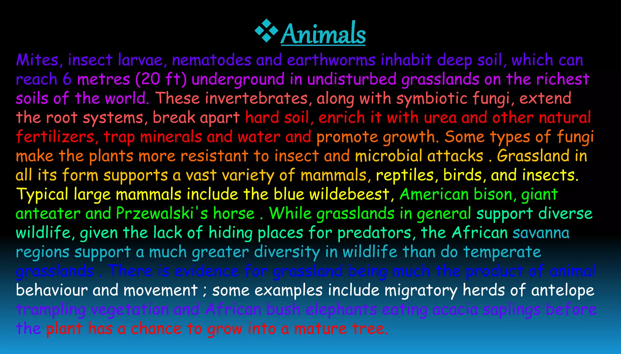 Animals
Mites, insect larvae, nematodes and earthworms inhabit deep soil, which can
reach 6 metres (20 ft) underground in undisturbed grasslands on the richest
soils of the world. These invertebrates, along with symbiotic fungi, extend
the root systems, break apart hard soil, enrich it with urea and other natural
fertilizers, trap minerals and water and promote growth. Some types of fungi
make the plants more resistant to insect and microbial attacks . Grassland in
all its form supports a vast variety of mammals, reptiles, birds, and insects.
Typical large mammals include the blue wildebeest, American bison, giant
anteater and Przewalski's horse . While grasslands in general support diverse
wildlife, given the lack of hiding places for predators, the African savanna
regions support a much greater diversity in wildlife than do temperate
grasslands . There is evidence for grassland being much the product of animal
behaviour and movement ; some examples include migratory herds of antelope
trampling vegetation and African bush elephants eating acacia saplings before
the plant has a chance to grow into a mature tree.
 