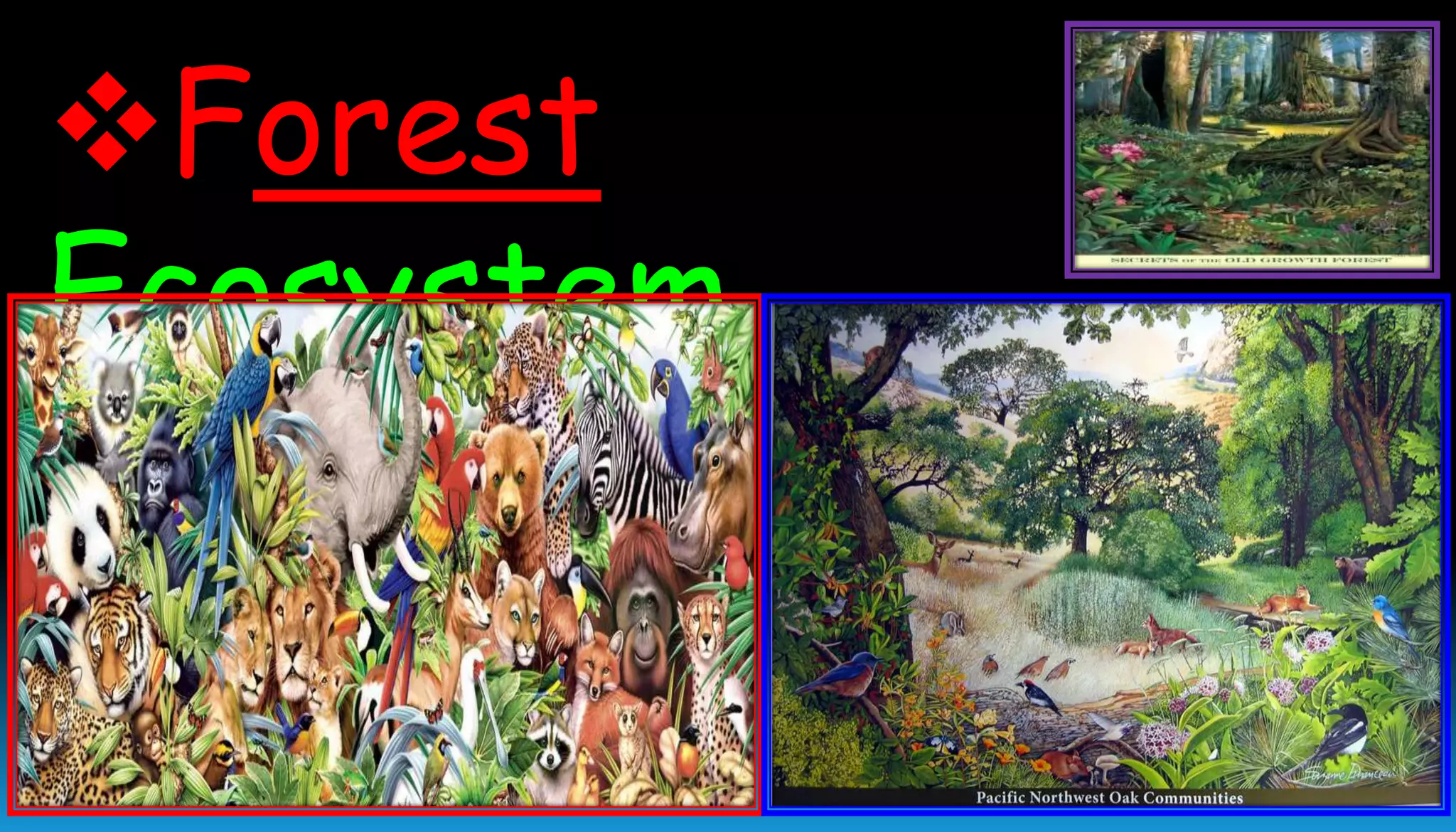 Forest
Ecosystem
 