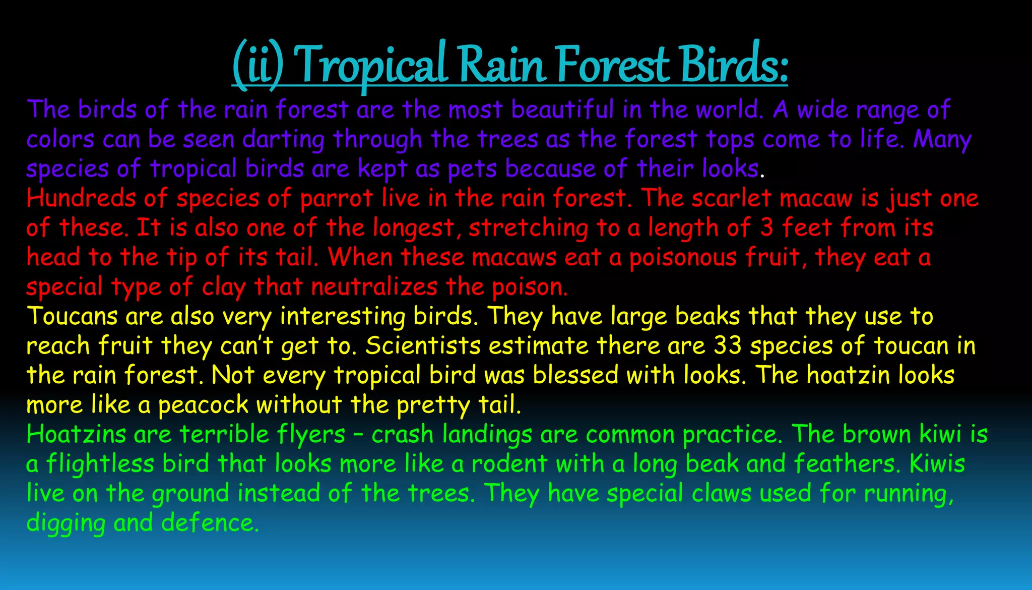 (ii) Tropical Rain Forest Birds:
The birds of the rain forest are the most beautiful in the world. A wide range of
colors can be seen darting through the trees as the forest tops come to life. Many
species of tropical birds are kept as pets because of their looks.
Hundreds of species of parrot live in the rain forest. The scarlet macaw is just one
of these. It is also one of the longest, stretching to a length of 3 feet from its
head to the tip of its tail. When these macaws eat a poisonous fruit, they eat a
special type of clay that neutralizes the poison.
Toucans are also very interesting birds. They have large beaks that they use to
reach fruit they can’t get to. Scientists estimate there are 33 species of toucan in
the rain forest. Not every tropical bird was blessed with looks. The hoatzin looks
more like a peacock without the pretty tail.
Hoatzins are terrible flyers – crash landings are common practice. The brown kiwi is
a flightless bird that looks more like a rodent with a long beak and feathers. Kiwis
live on the ground instead of the trees. They have special claws used for running,
digging and defence.
 
