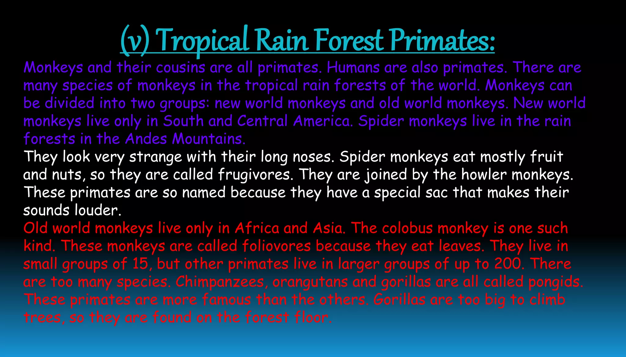 (v) Tropical Rain Forest Primates:
Monkeys and their cousins are all primates. Humans are also primates. There are
many species of monkeys in the tropical rain forests of the world. Monkeys can
be divided into two groups: new world monkeys and old world monkeys. New world
monkeys live only in South and Central America. Spider monkeys live in the rain
forests in the Andes Mountains.
They look very strange with their long noses. Spider monkeys eat mostly fruit
and nuts, so they are called frugivores. They are joined by the howler monkeys.
These primates are so named because they have a special sac that makes their
sounds louder.
Old world monkeys live only in Africa and Asia. The colobus monkey is one such
kind. These monkeys are called foliovores because they eat leaves. They live in
small groups of 15, but other primates live in larger groups of up to 200. There
are too many species. Chimpanzees, orangutans and gorillas are all called pongids.
These primates are more famous than the others. Gorillas are too big to climb
trees, so they are found on the forest floor.
 