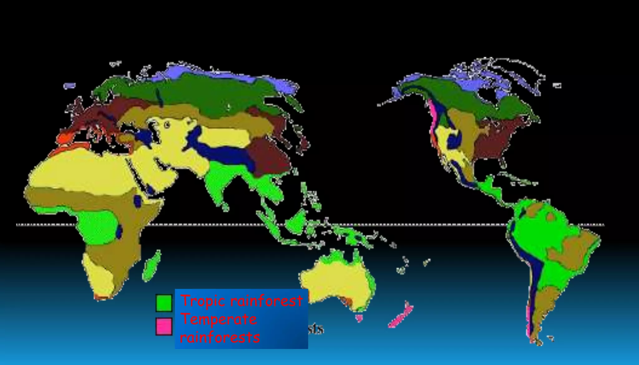 Tropic rainforest
Temperate
rainforests
 