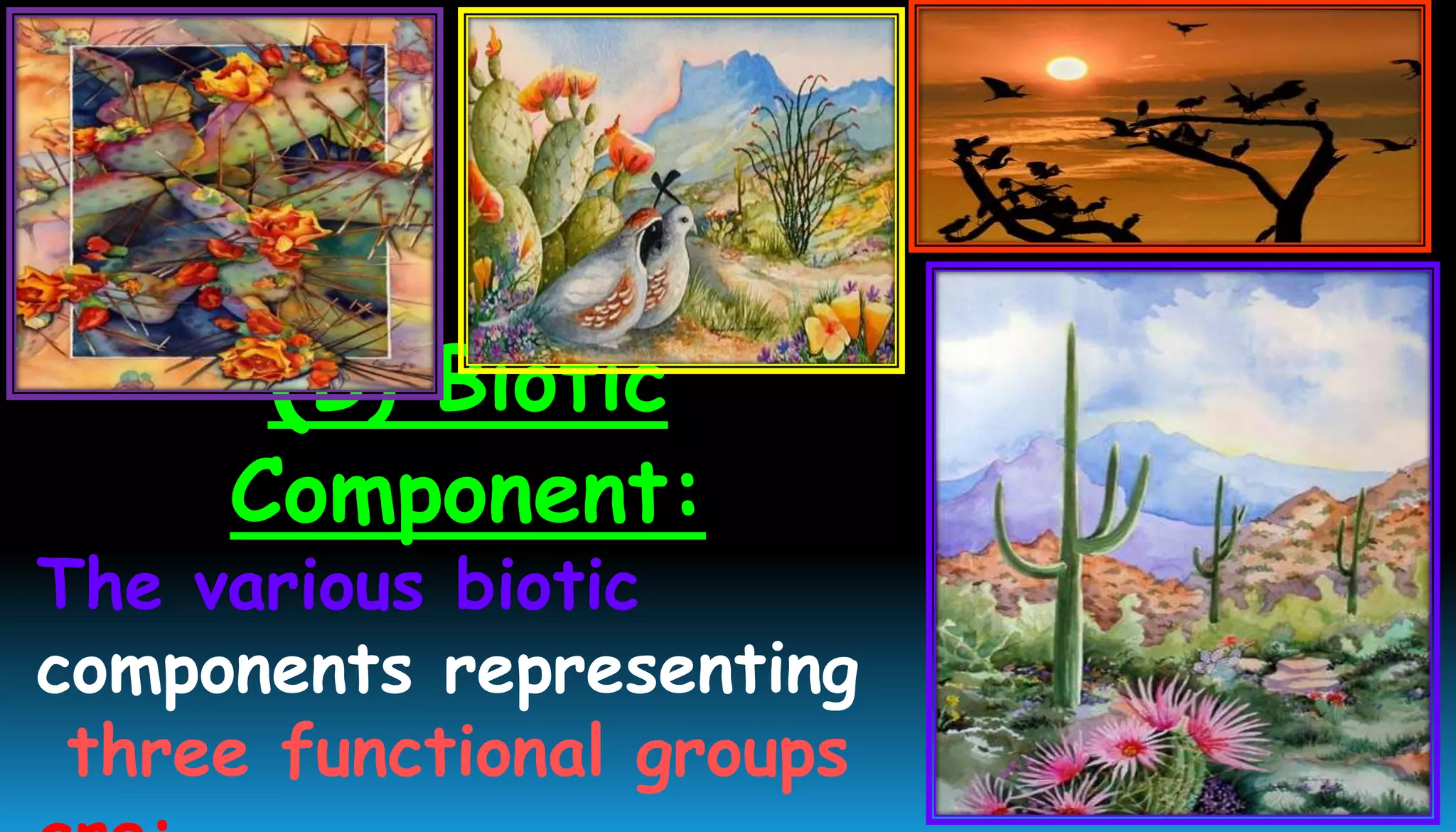 (B) Biotic
Component:
The various biotic
components representing
three functional groups
 