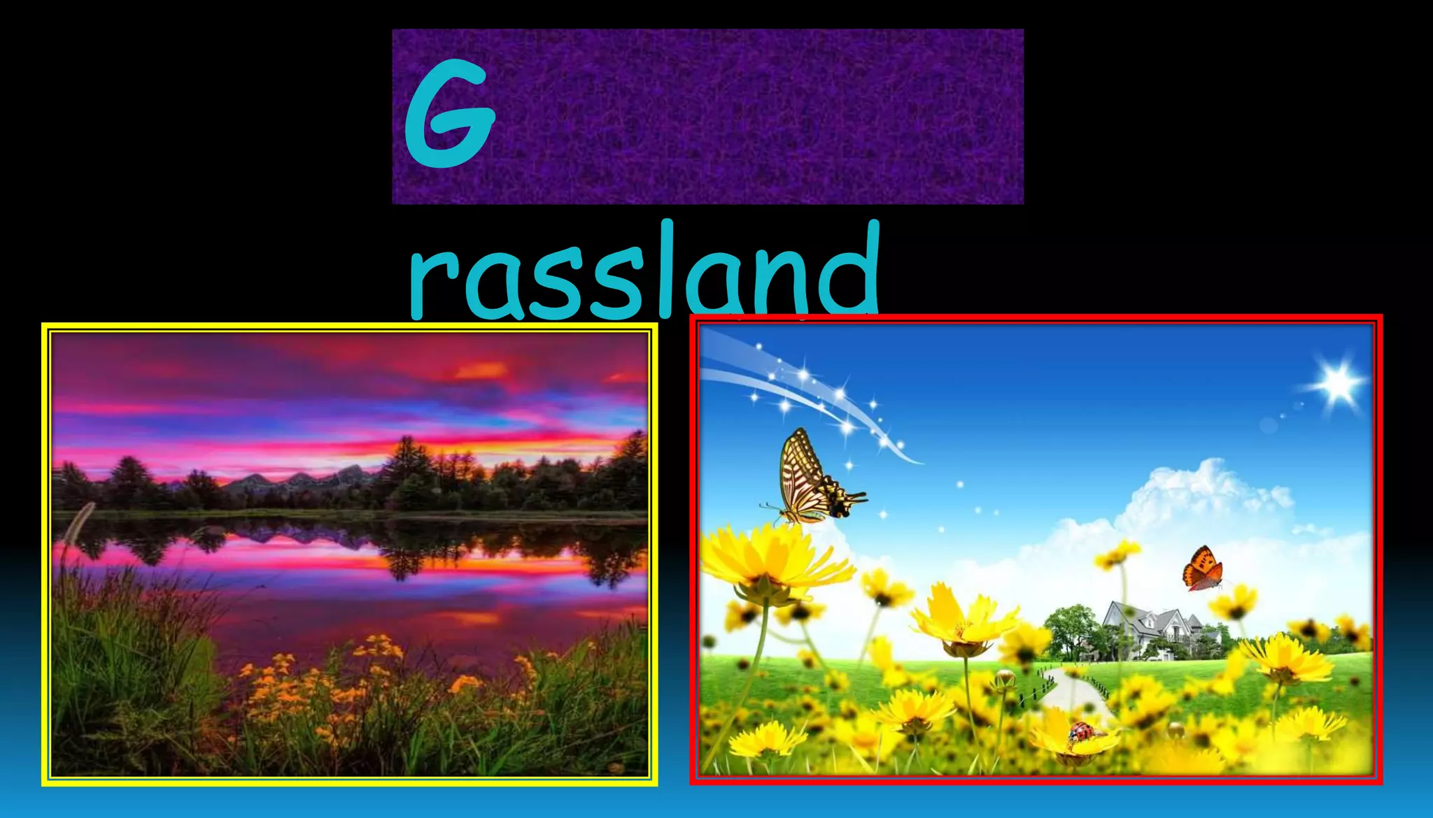 G
rassland
 