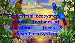 ON
SUBMITTED BY –
SURBHI YADAV
BSC BIOSCIENCE
Terrestrial ecosystem:-
salient features of
grassland forest &
desert ecosystem
PRESENTATION
SUBMITTED TO – DR.
RASHMI TRIPATHI MA’aM
 
