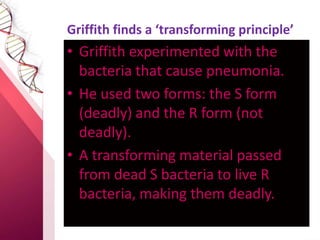 Griffith finds a ‘transforming principle’
• Griffith experimented with the
bacteria that cause pneumonia.
• He used two forms: the S form
(deadly) and the R form (not
deadly).
• A transforming material passed
from dead S bacteria to live R
bacteria, making them deadly.
 