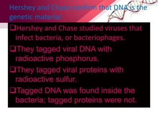 Hershey and Chase confirm that DNA is the
genetic material
Hershey and Chase studied viruses that
infect bacteria, or bacteriophages.
They tagged viral DNA with
radioactive phosphorus.
They tagged viral proteins with
radioactive sulfur.
Tagged DNA was found inside the
bacteria; tagged proteins were not.
 