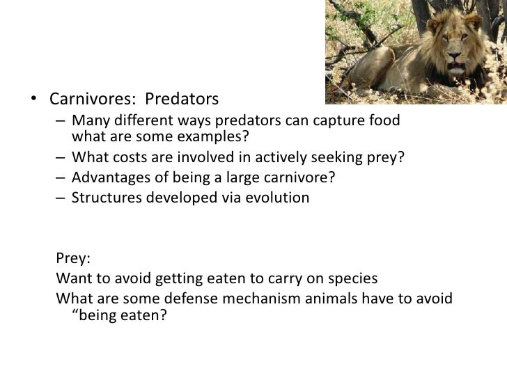 Zoology review final