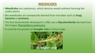 WEEDICIDES
• Weedicides are substances, which destroy weeds without harming the
useful plants.
• Bio weedicides are compou...