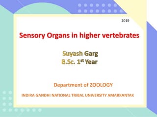INDIRA GANDHI NATIONAL TRIBAL UNIVERSITY AMARKANTAK
Department of ZOOLOGY
Sensory Organs in higher vertebrates
2019
 