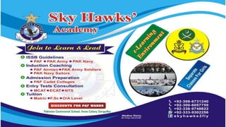 Zoom-tool for online learning