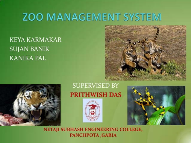 literature review on zoo management system