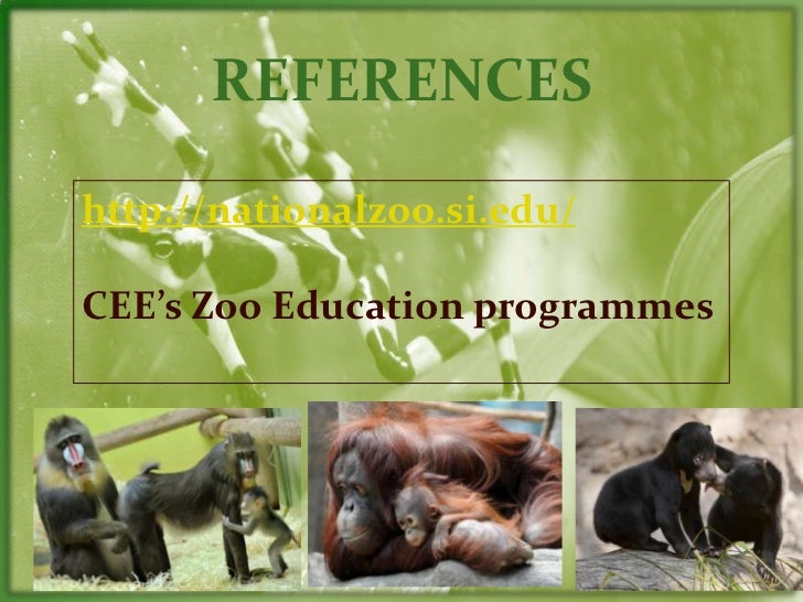 Er Diagram For Zoo Management System
