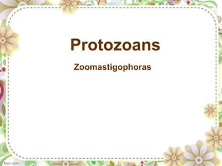 Protozoans
Zoomastigophoras
 