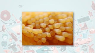 Designed by Kellwyn San