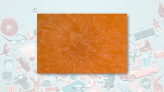 Designed by Kellwyn San