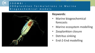 Keywords:
• Marine biogeochemical
forecasts
• Marine ecosystem modelling
• Zooplankton closure
• Detritus sinking
• End-2-End modelling
Z O O M B I :
Z O O p l a n k t o n f o r m u l a t i o n s i n M a r i n e
B I o g e o c h e m i c a l m o d e l s
NICE PICTURE ON YOUR PROJECT TOPIC
 