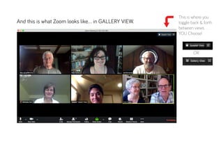 Zoom/view Examples Super Easy Guide to Zoom | PDF