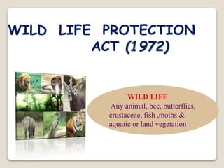 WILD LIFE PROTECTION
ACT (1972)
WILD LIFE
Any animal, bee, butterflies,
crustaceae, fish ,moths &
aquatic or land vegetation
 
