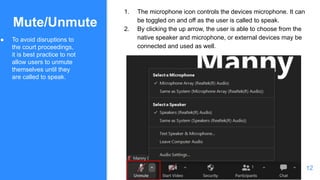 How to Guide - Zoom | PDF