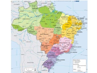 Zoom gustavo e vinícius