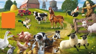 Zoom in   farm animals 