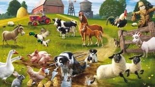 Zoom in   farm animals 