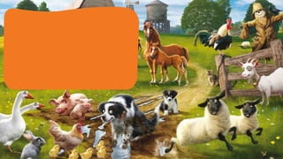 Zoom in   farm animals 