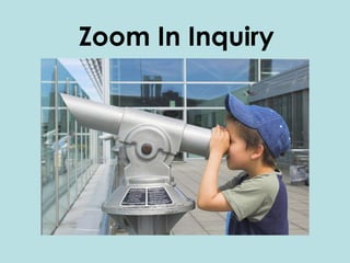 Zoom In Inquiry 