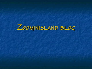 Zoominisland blogZoominisland blog
 