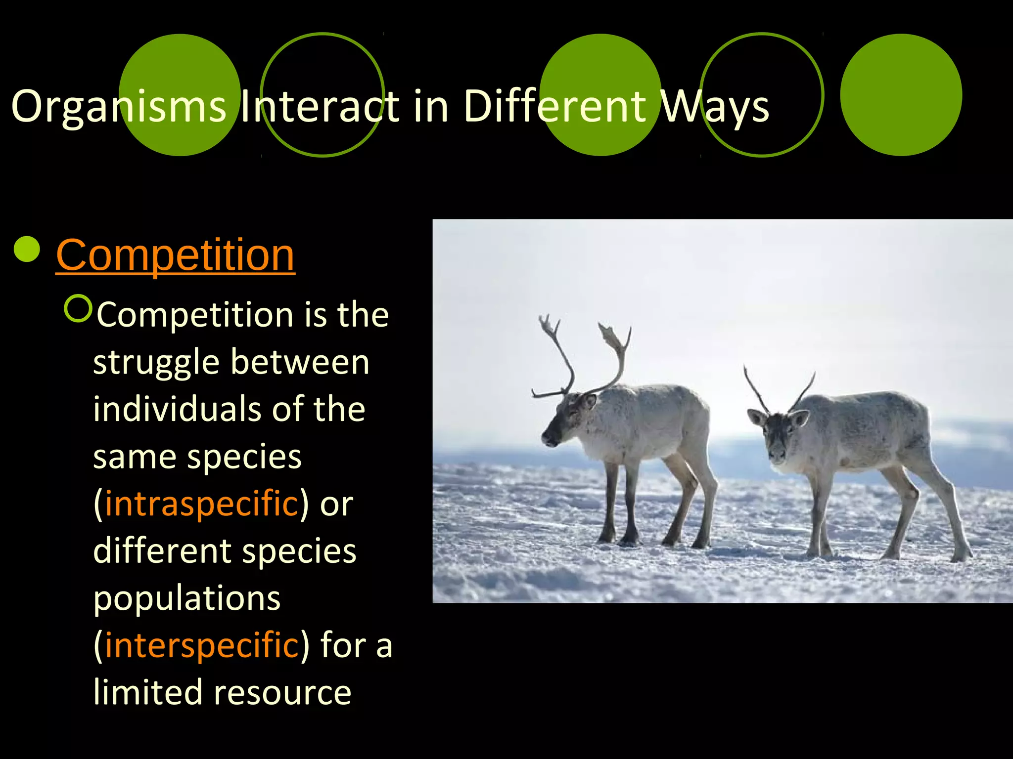 Organisms Interact in Different Ways

Competition
  Competition is the
   struggle between
   individuals of the
   same species
   (intraspecific) or
   different species
   populations
   (interspecific) for a
   limited resource
 