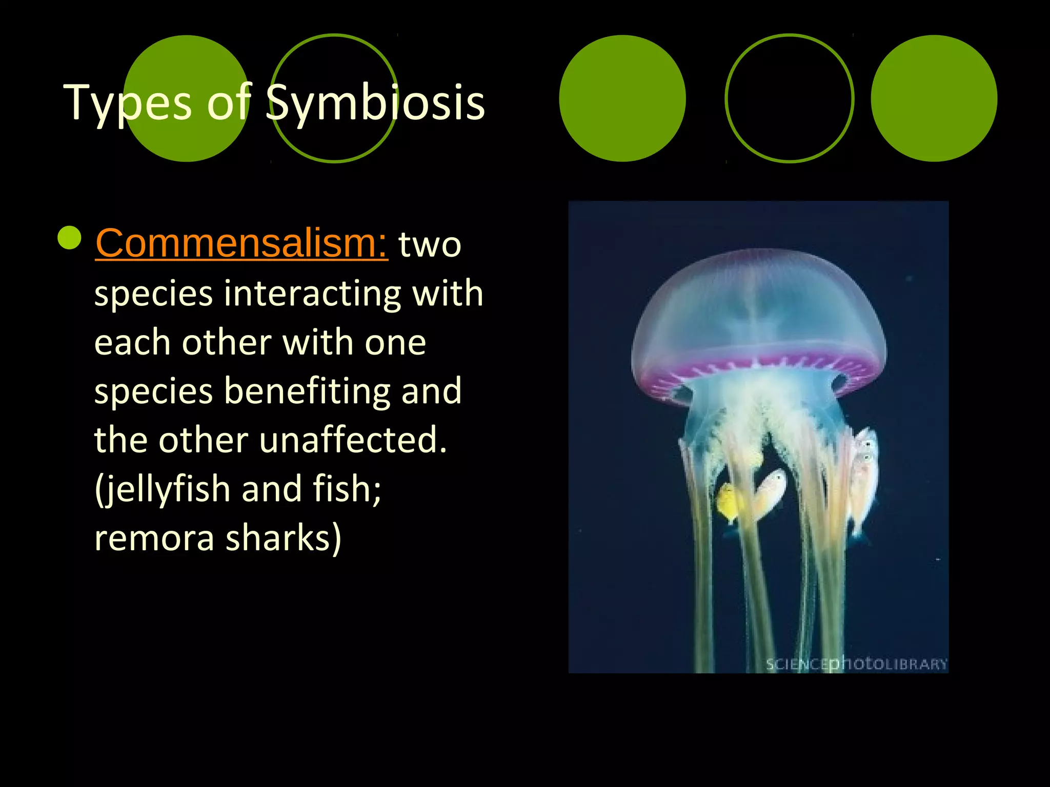 Types of Symbiosis

Commensalism: two
 species interacting with
 each other with one
 species benefiting and
 the other unaffected.
 (jellyfish and fish;
 remora sharks)
 