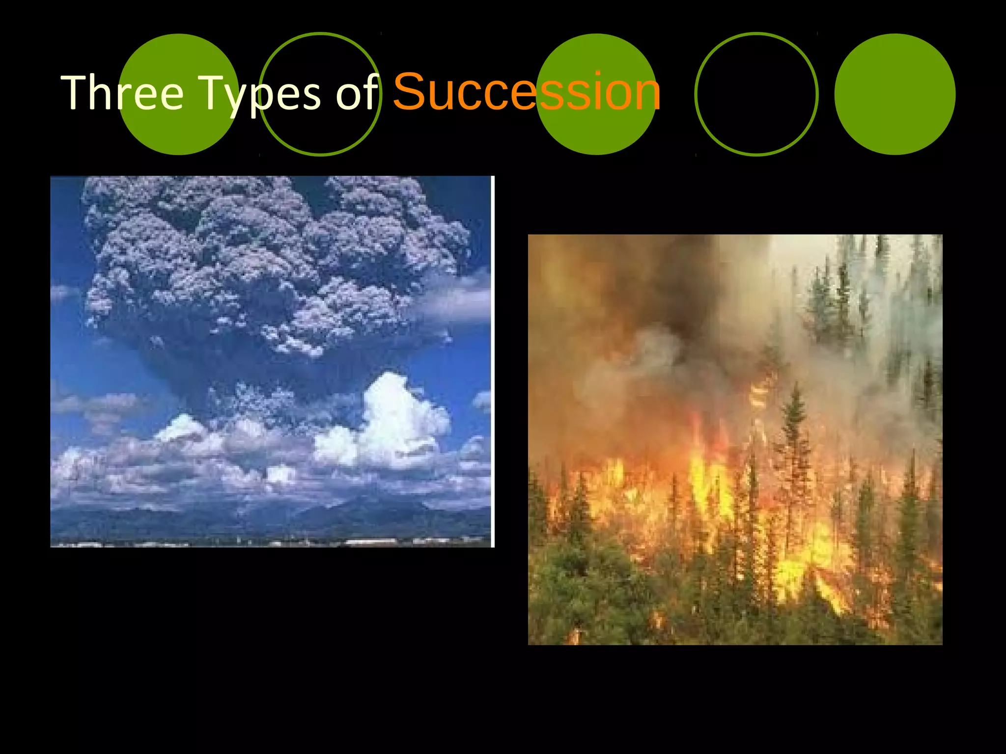 Three Types of Succession
 